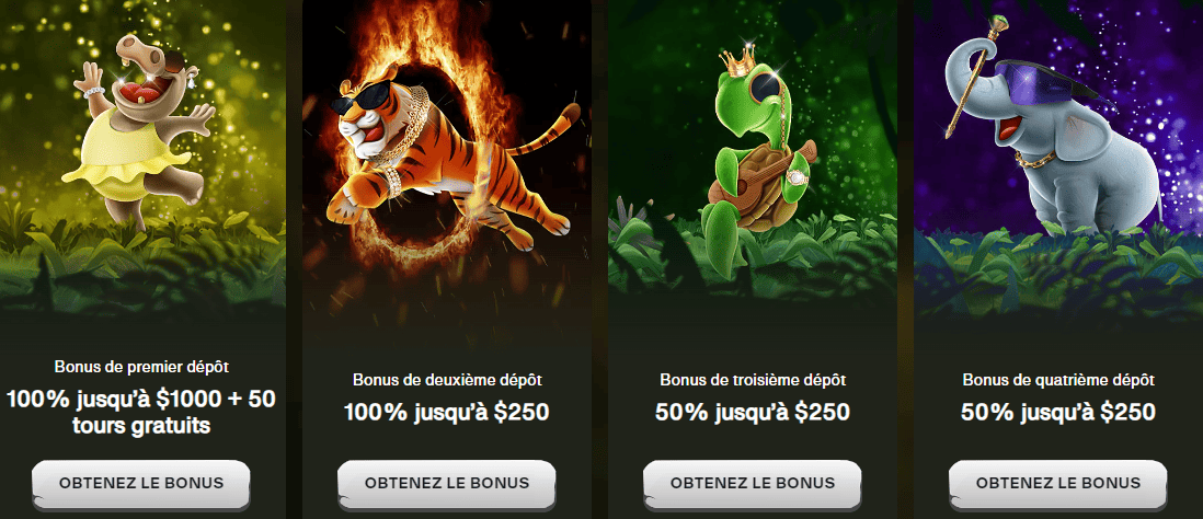 Bonus de Bienvenue au CashWin Casino 247 CashWin Presente Bonus sans Dépôt et Bonus de Bienvenue