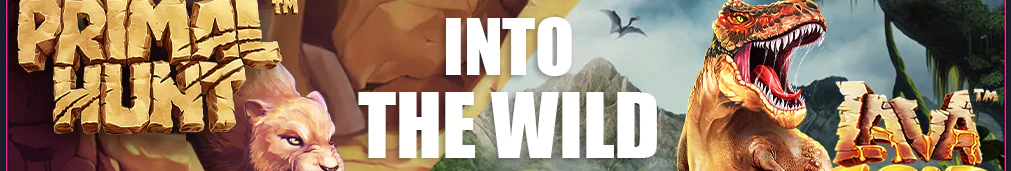 jeux Casino Disco bonus codes pour l'argent réel et les tours gratuits